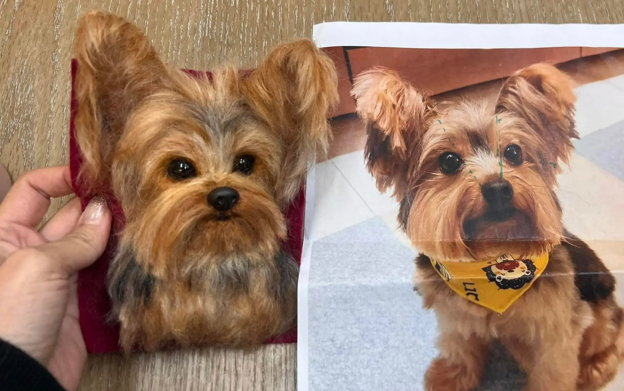 約克夏犬寵物紀念羊毛氈對比照